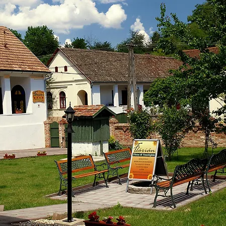 Country house Florian Vendeghaz Villanykovesd