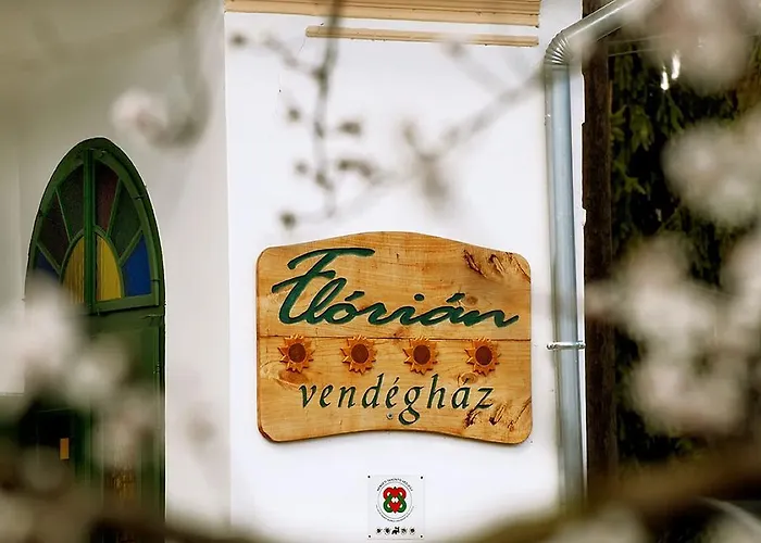 Florian Vendeghaz Landsted Villánykövesd
