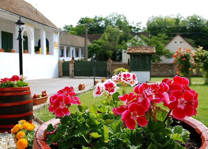 Landsted Florian Vendeghaz